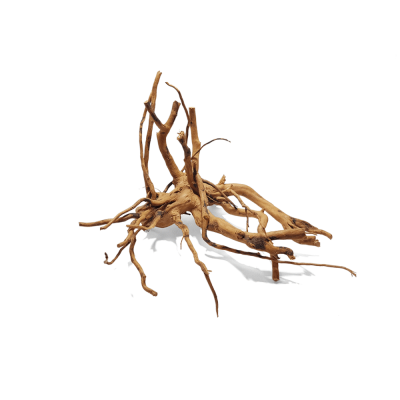 Radacina decor-Red Moor Wood S (20-25cm) - bucata