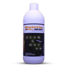 MasterLine All In One Golden 1000ml