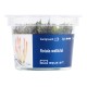 Aqua Art Rotala Wallichii In Vitro