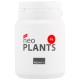 Aquario Neo Plants Tabs Fe Fertilizant