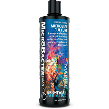 Brightwell Aquatics Microbacter Clean 250ml