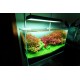 Lampa Chihiros LED RGB VIVID II SILVER - APLICATIE