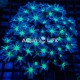 Wysiwyg Clavularia Sp Blue #1