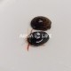 Paguristes Sp. RED - Scarlet Hermit Crab