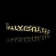 Pholidichthys Leucotaenia Engineer Goby