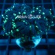 Wysiwyg Euphyllia Glabrescens Torch #1