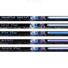 Neon T5 ATI Blue Plus 24w