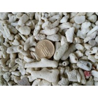Substrat Spartura De Corali 30mm (vrac) /kg